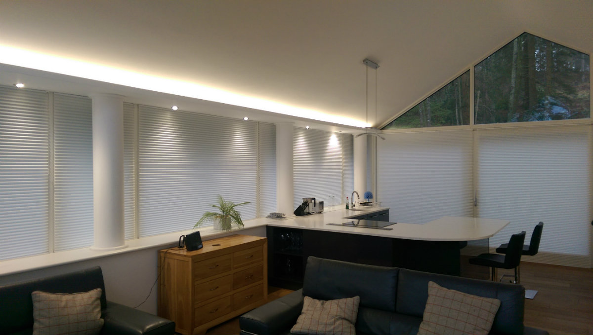 White Pleated Blinds