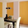 Vertical Blind