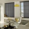 Vertical Blind